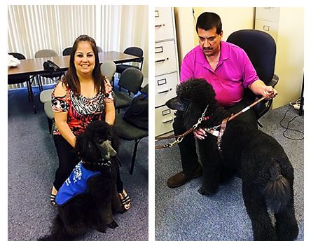 split pictures of Pete and Priscilla with a guide dog