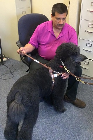 Pete with a black guide dog