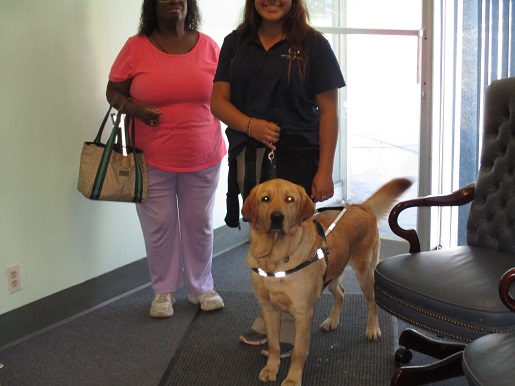 A guide dog is with an instructor and a woman