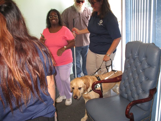 Bringing the guide dog back in from taking it outside for a trial walk