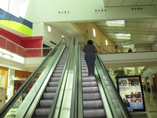 Bobbie learned riding escalators can be tricky