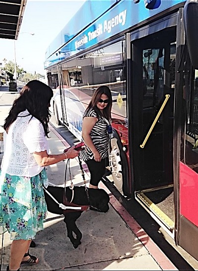 Getting on the bus with Priscilla as part of the Travel Training at BSS