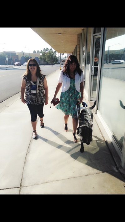 Walking with Priscilla and Christine using her guide dog Bronxie